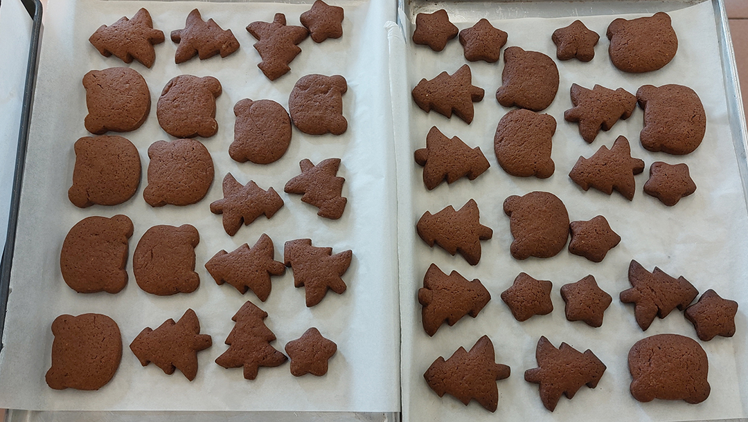 A group of people wearing masksDescription automatically generated